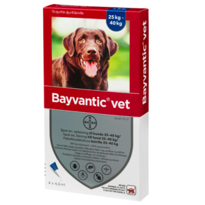 Bayvantic Vet. Hund 25-40 kg