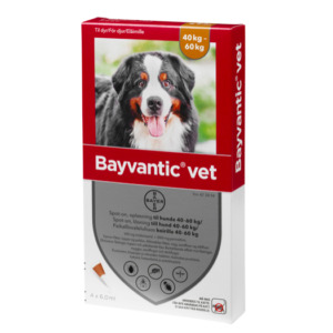 Bayvantic Vet. Hund 40-60 kg