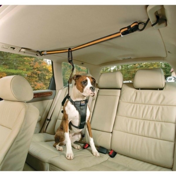 Hundesikkerhedsele til bilen