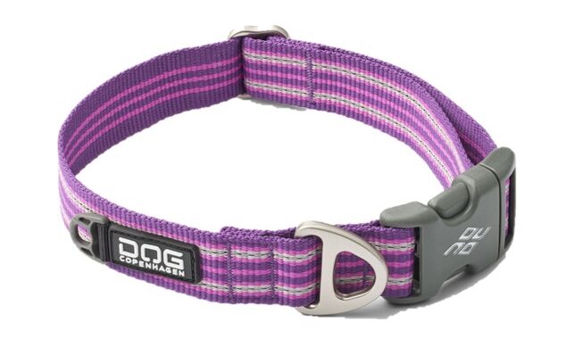 Dog Copenhagen Urban Style Halsbånd Purple Passion