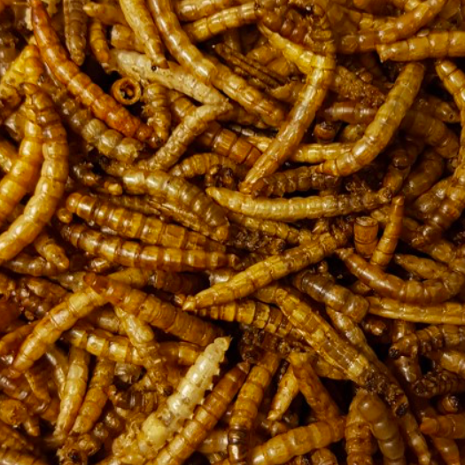 Tørrede Melorme, 150g