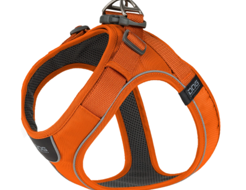 stilfuld og komfortable orange sele