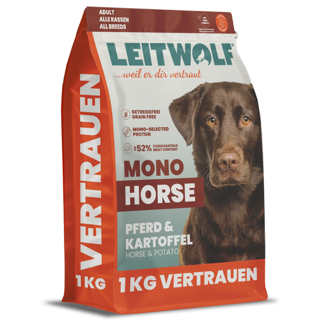 Leitwolf Adult med Hest