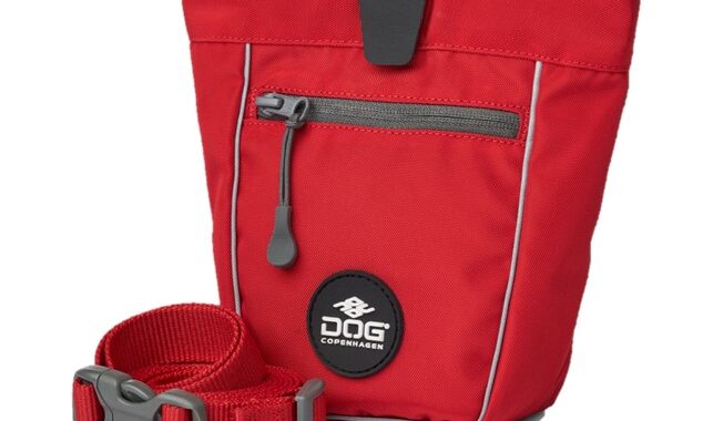 Dog Copenhagen Go Explore Godbidstaske Classic Red