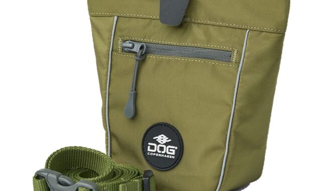 Dog Copenhagen Go Explore Godbidstaske Hunting Green