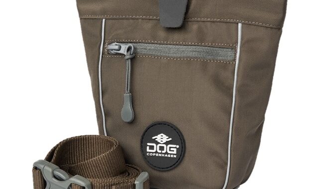 Dog Copenhagen Go Explore Godbidstaske Mocca
