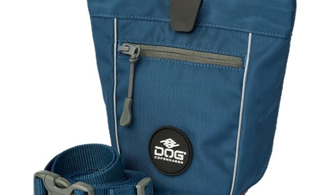 Dog Copenhagen Go Explore Godbidstaske Ocean Blue