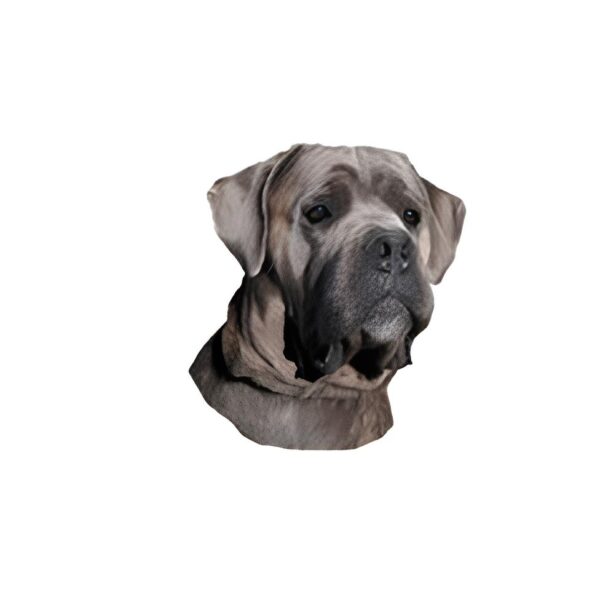 Hundeklistermærke af Cane Corso