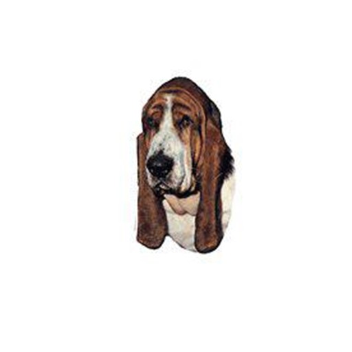 Hundeklistermærke Basset