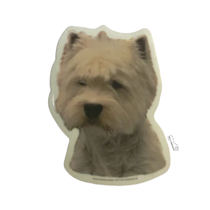 West Highland Terrier