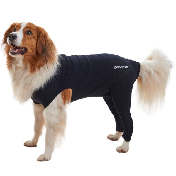 Hund der er iført et body sleeve med bagben i en mørkeblå farve