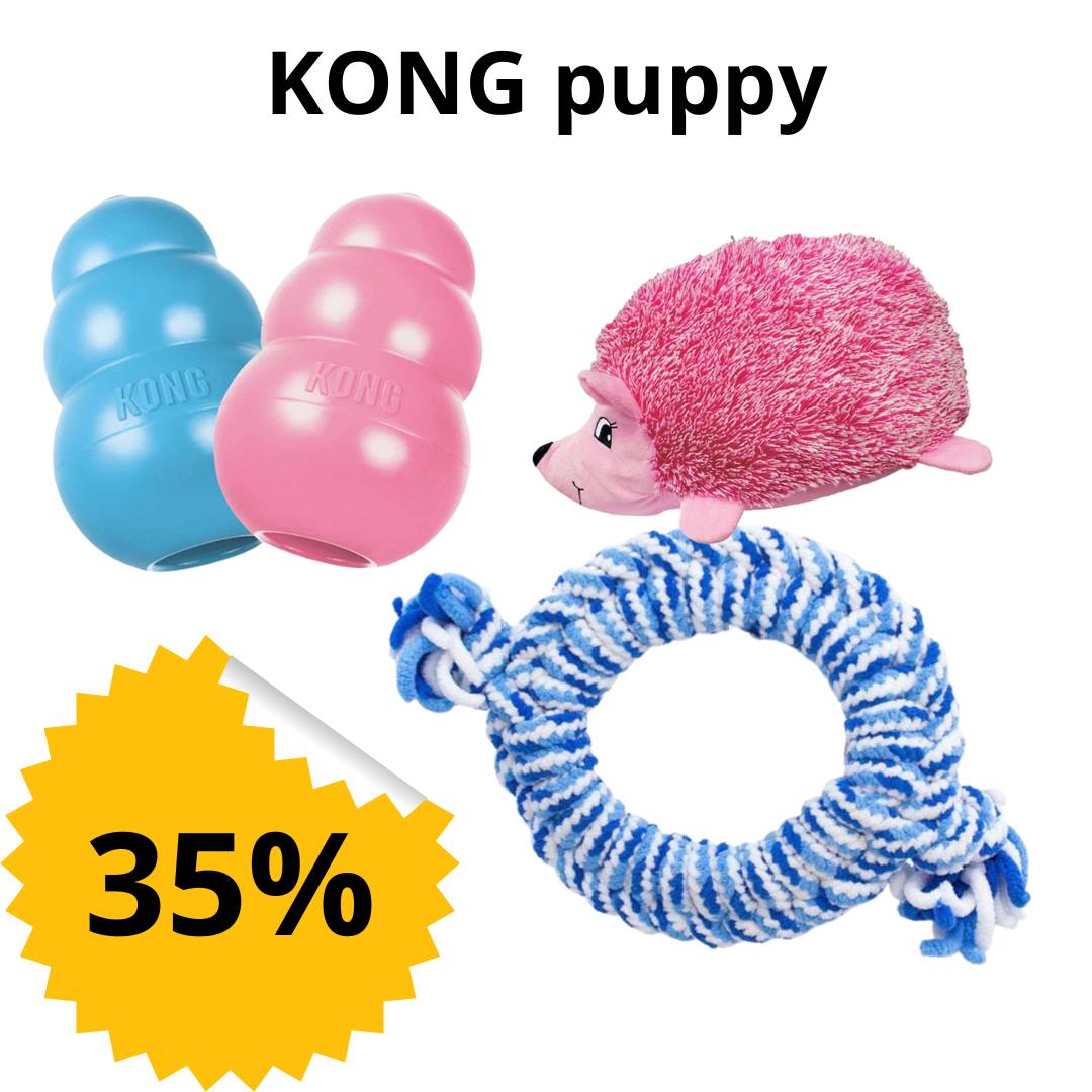 KONG puppy