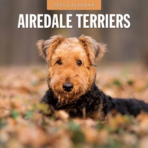 Airedale Terrier