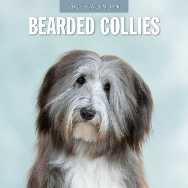 Kalender kun med billeder af Bearded Collie