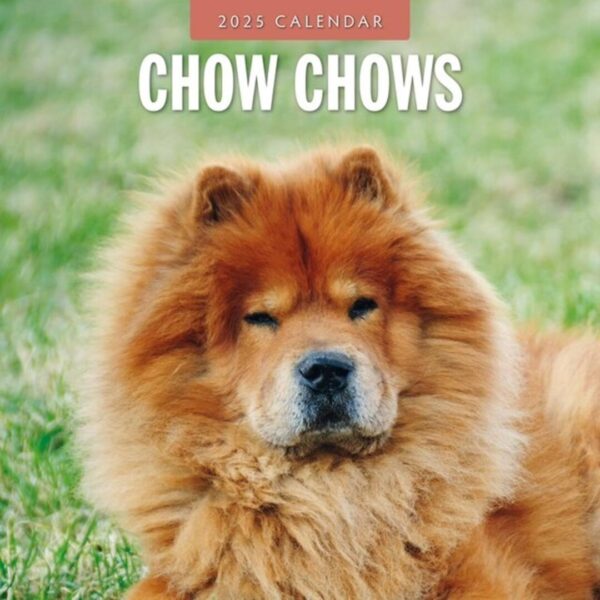 Chow Chow kalender kun med billeder af denne race