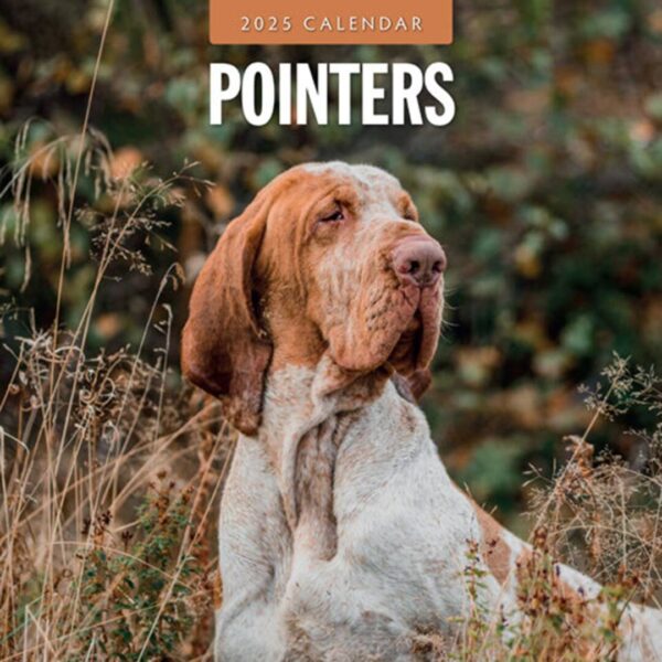 Hunde kalender med Pointers (jagthunde) som tema