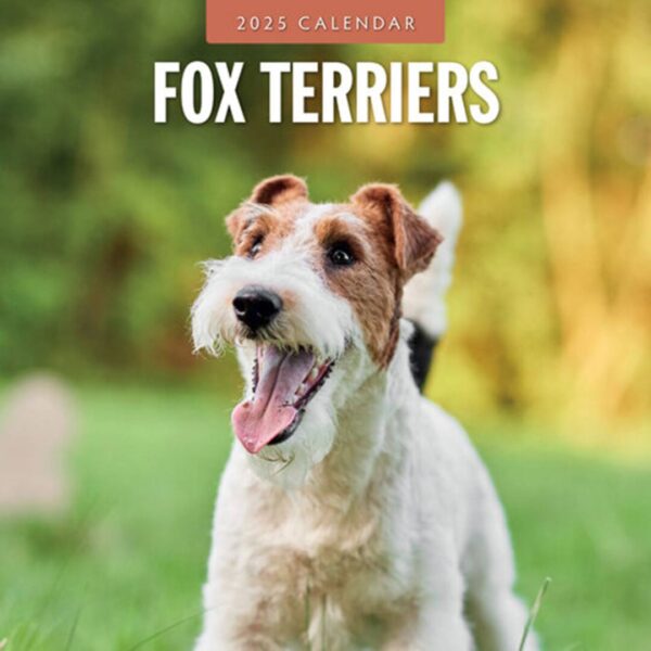 Kalender kun med smukke billeder af Fox Terrier