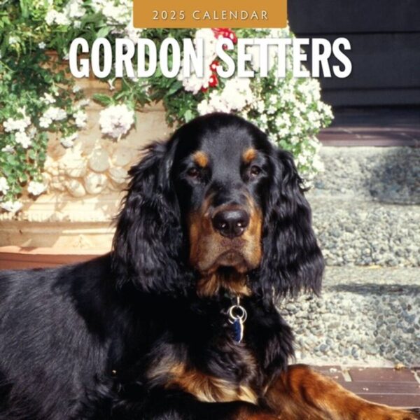 Kalender med Gordon Setter