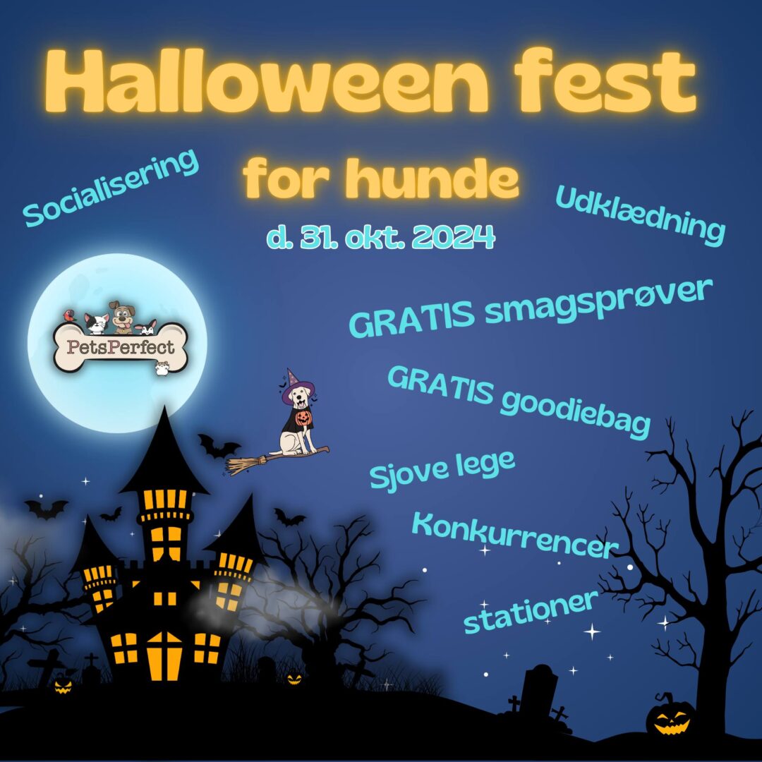 Halloween fest for hunde 2024