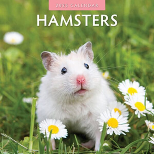 Hamster kalender kun med søde billeder af hamstere