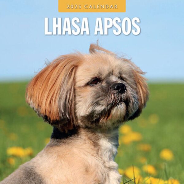 Lhasa Apso kalender med billeder kun af denne hunderace