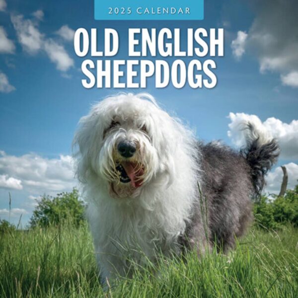 Unikke billeder samlet i denne kalender af Old English Sheepdog