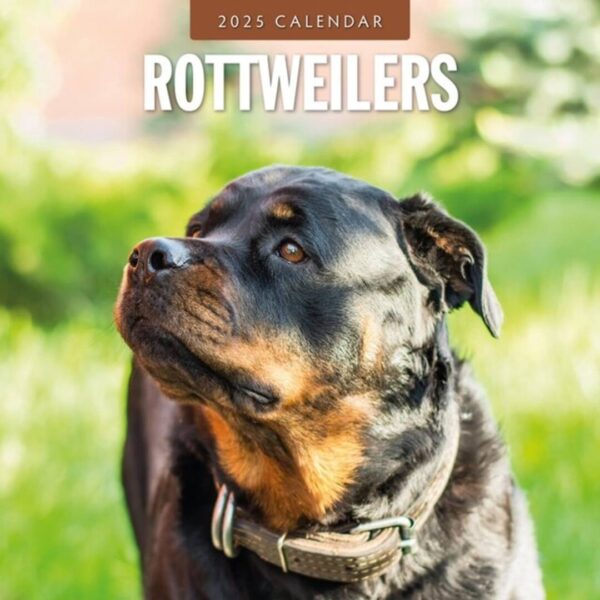 Kalender med Rottweiler som tema - 12 unikke billeder