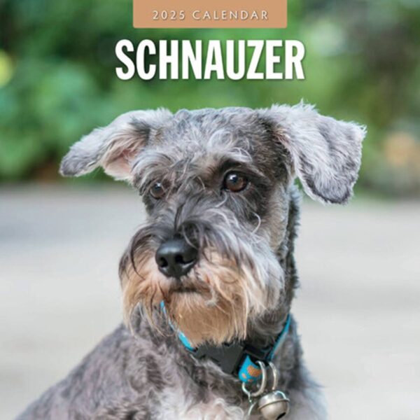 Kalender fyldt med billeder kun af hunde racen Schnauzer