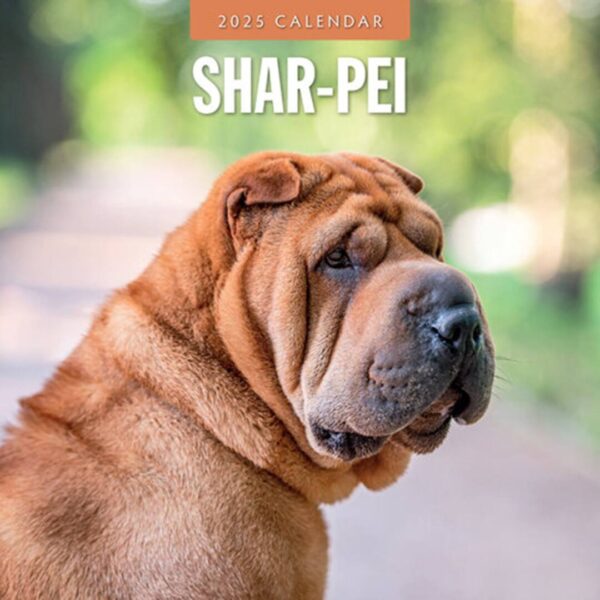 Kalender fyldt med billeder kun af hunde racen Shar Pei