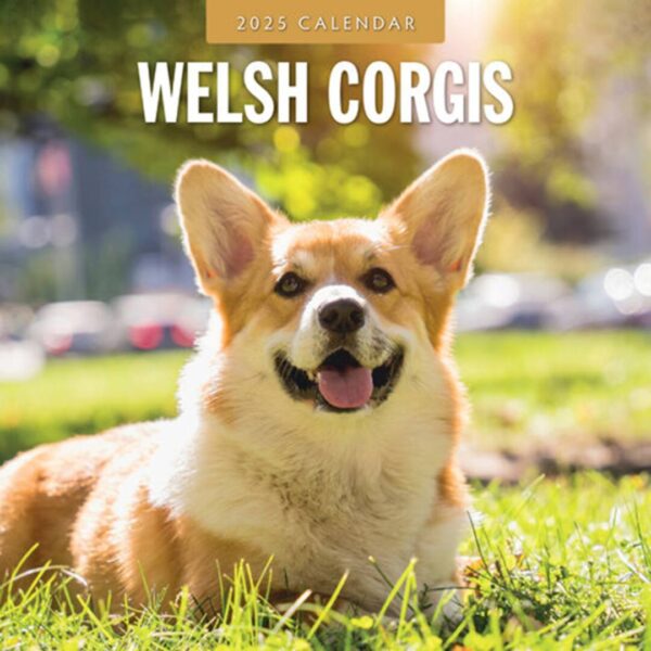 Kalender med 12 smukke billeder af Welsh Corgi