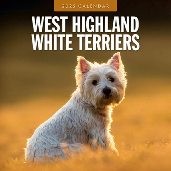 Kalender fyldt med billeder af West Highland White Terrier - Nyt billede hver måned