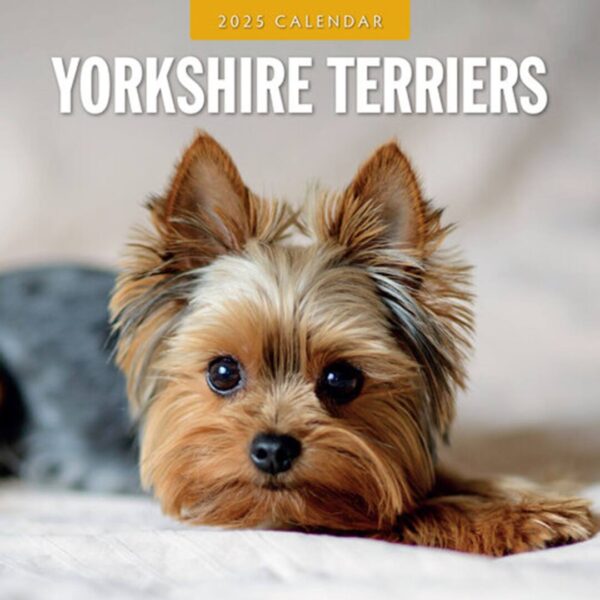 Kalender med Yorkshire Terrier som tema