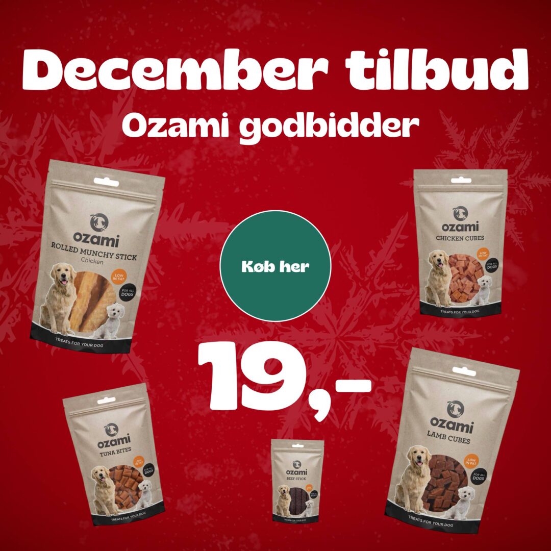 december tilbud