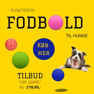 Månedstilbud juni 2025