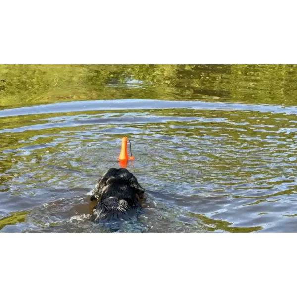 Dog Comets Float Orange Lighthouse - Image 3