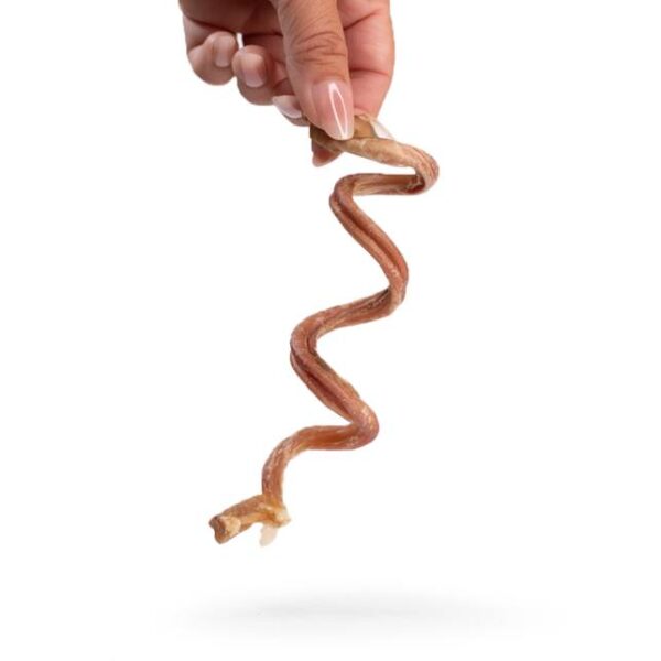 Snack'it Lammepenis Curly 100g - Image 3