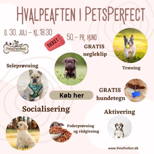 Hvalpeaften 30.07.25