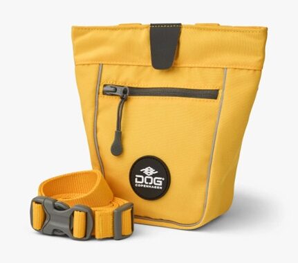 Dog Copenhagen Go Explore Godbidstaske Lemon