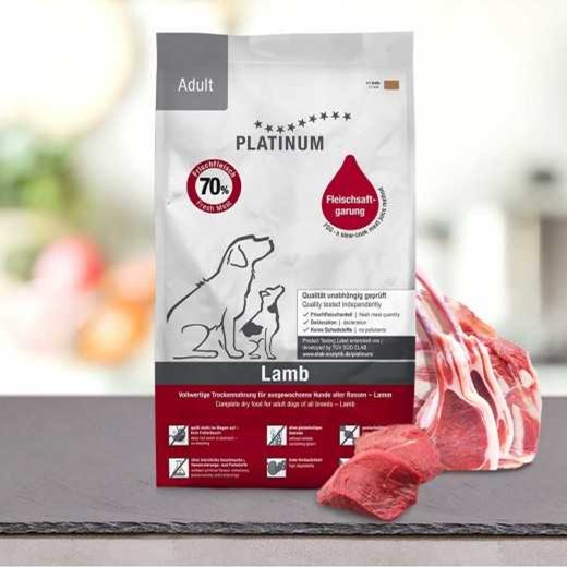 Platinum Lam Adult