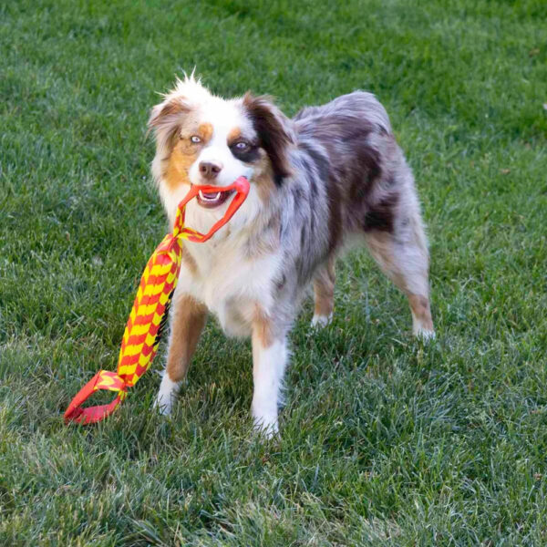 KONG MAXX Tug - Image 2