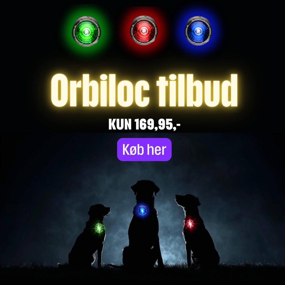 Orbiloc tilbud oktober 2025