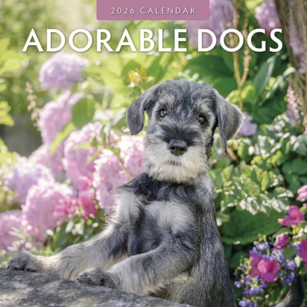 Adorable dogs 2026