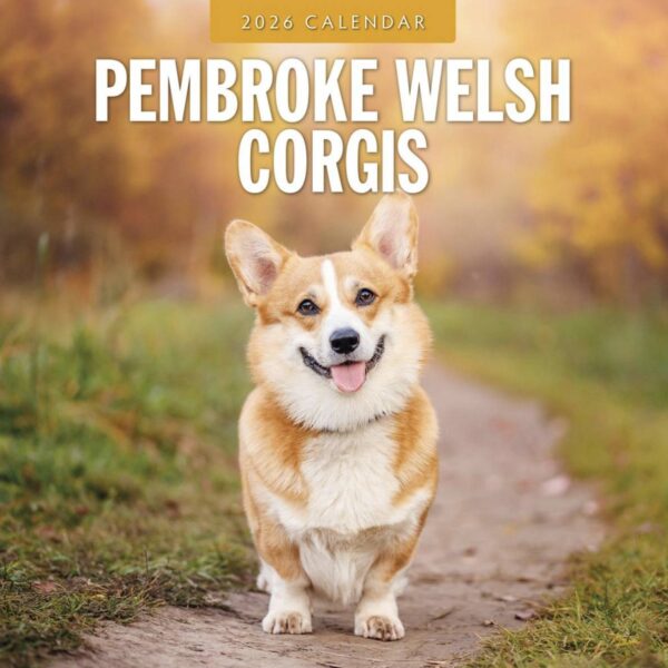 Pembroke Welsh Corgi 2026