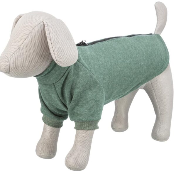 Trixie CityStyle Amsterdam sweatshirt til hunde - Grøn - Image 2