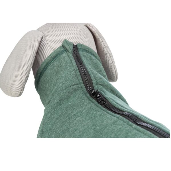 Trixie CityStyle Amsterdam sweatshirt til hunde - Grøn - Image 3