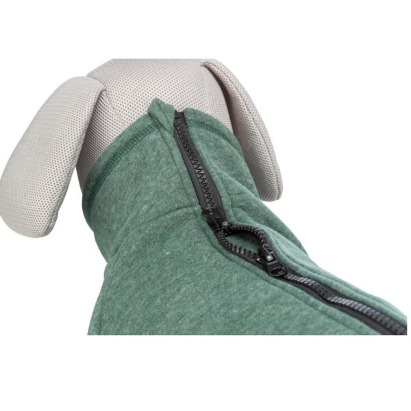 Trixie CityStyle Amsterdam sweatshirt til hunde - Grøn - Image 4