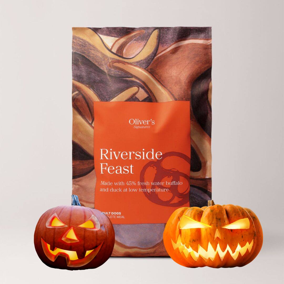 Olivers Riverside Feast orange pose til hunde