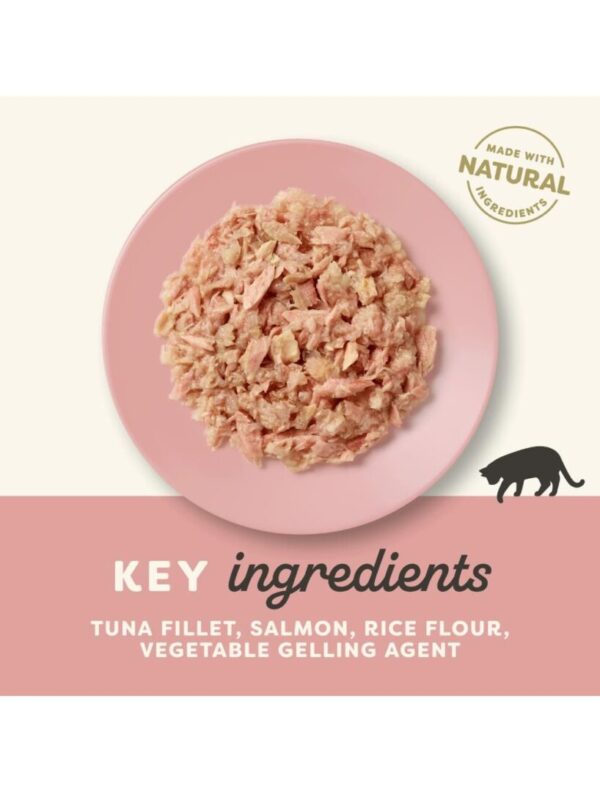 Applaws Tun Fillet med Laks i Gelé 70g - Image 2
