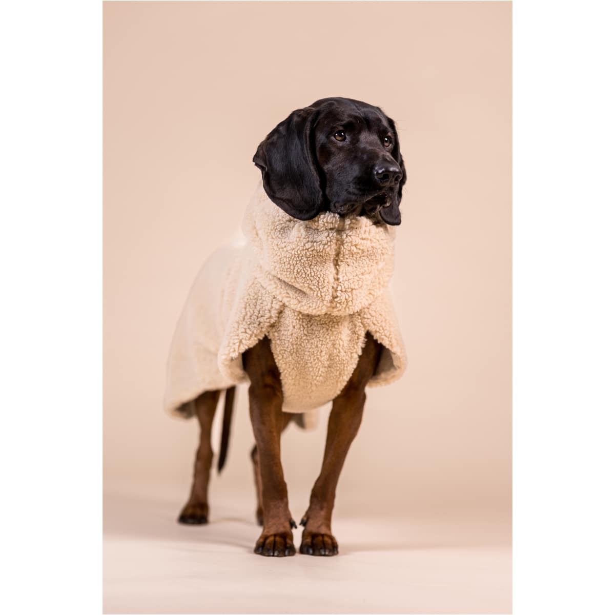 PAIKKA Sherpa Trøje Taupe - Image 3