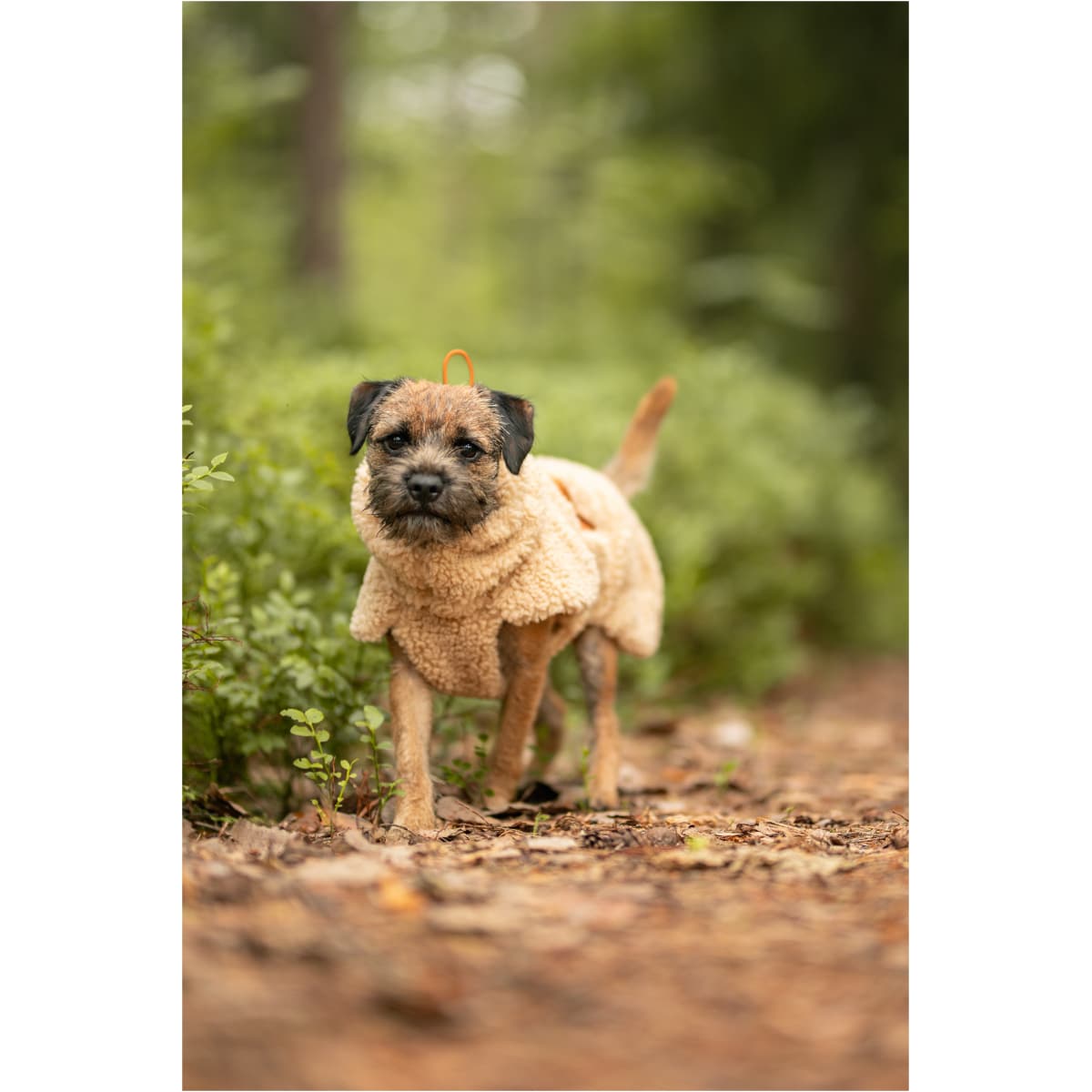 PAIKKA Sherpa Trøje Taupe - Image 4